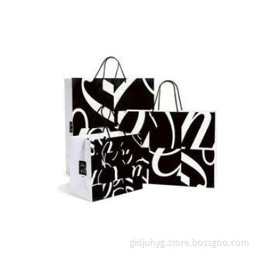 Fashion Paper Packaging Bags With Handle, Colorful Printing